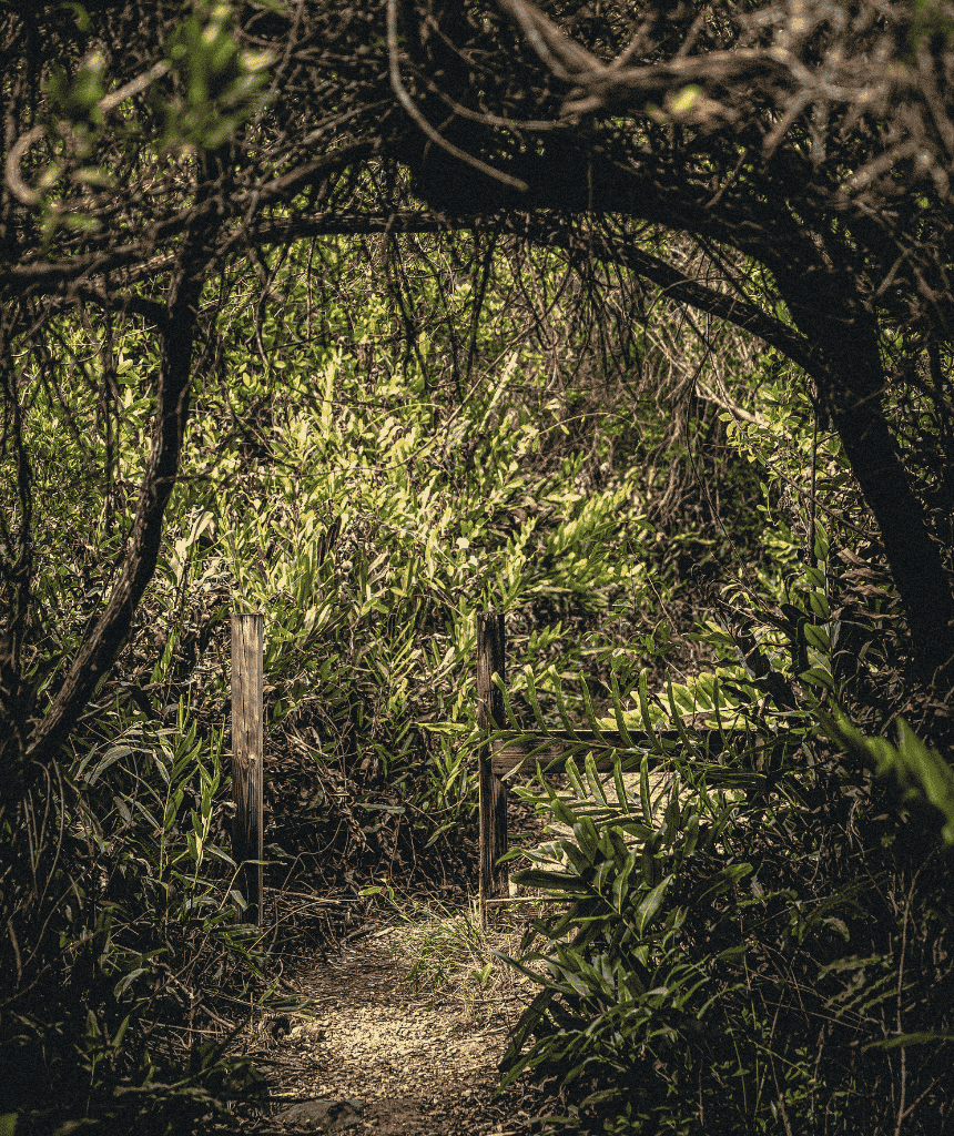 Image #2 - Mastic Trail