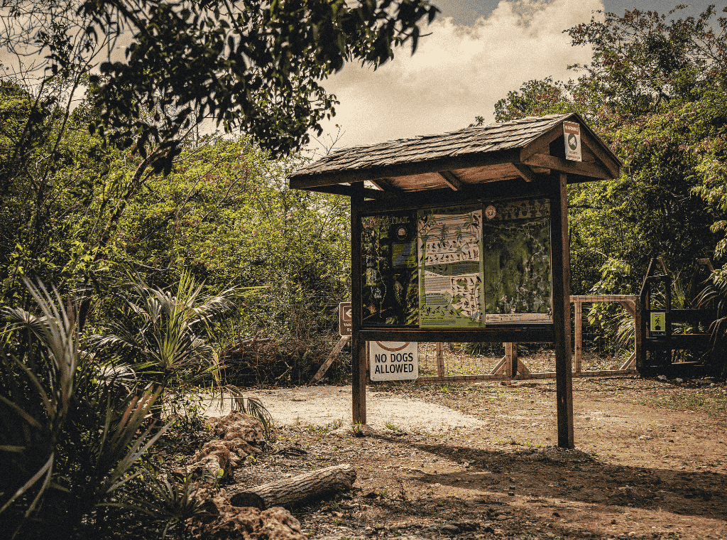 Image #3 - Mastic Trail
