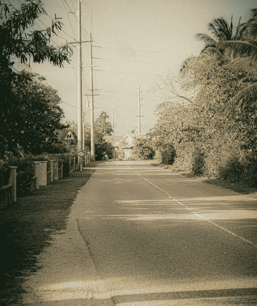 Image #2 - Willie Farrington Drive